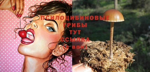 герыч Абинск